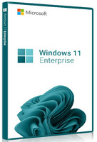 Windows 11 Professional